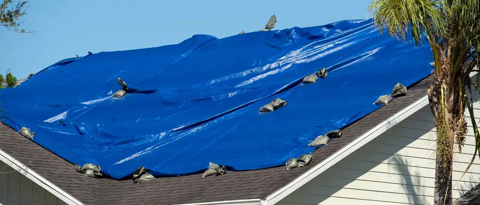 Blue tarp weighted with sandbags covering a shingle roof, with a palm tree and clear blue sky