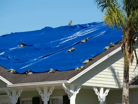 Blue tarp weighted with sandbags covering a shingle roof, with a palm tree and clear blue sky