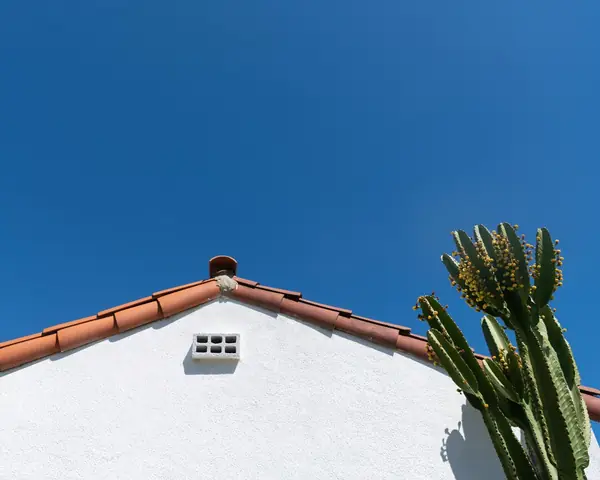 Clay barrel tiles along a white stucco gable under a deep blue sky, with a tall cactus at right