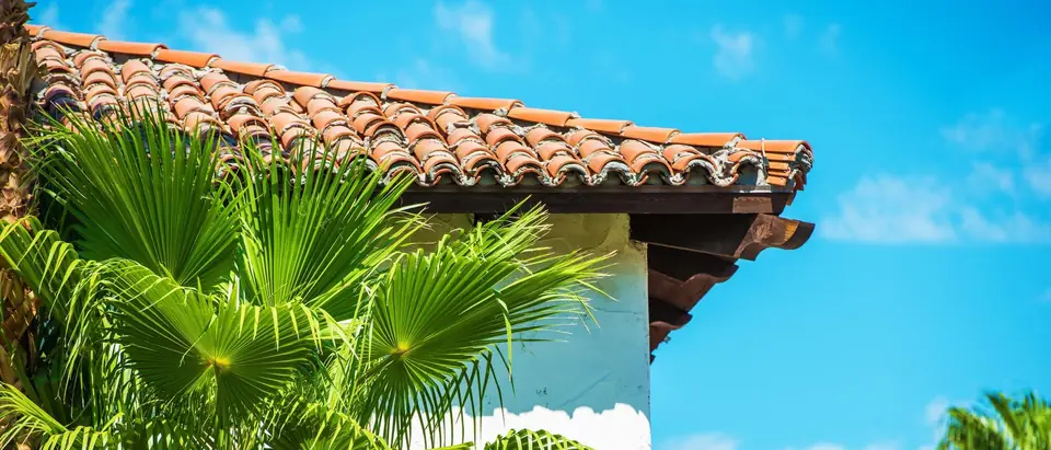 Clay barrel tile roof on a white stucco building with a fan palm in front, under a bright blue sky