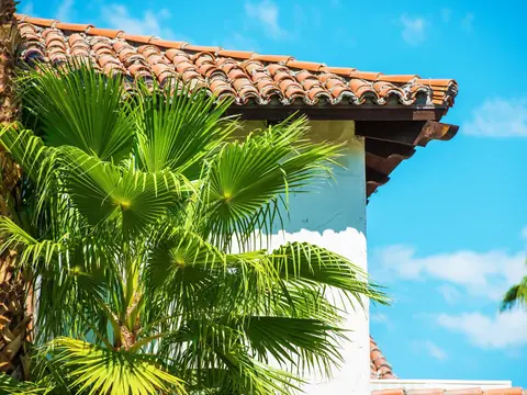 Clay barrel tile roof on a white stucco building with a fan palm in front, under a bright blue sky