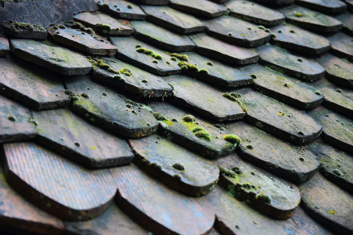 A roll of roofing underlayment material, essential for preventing leaks in commercial roofing.